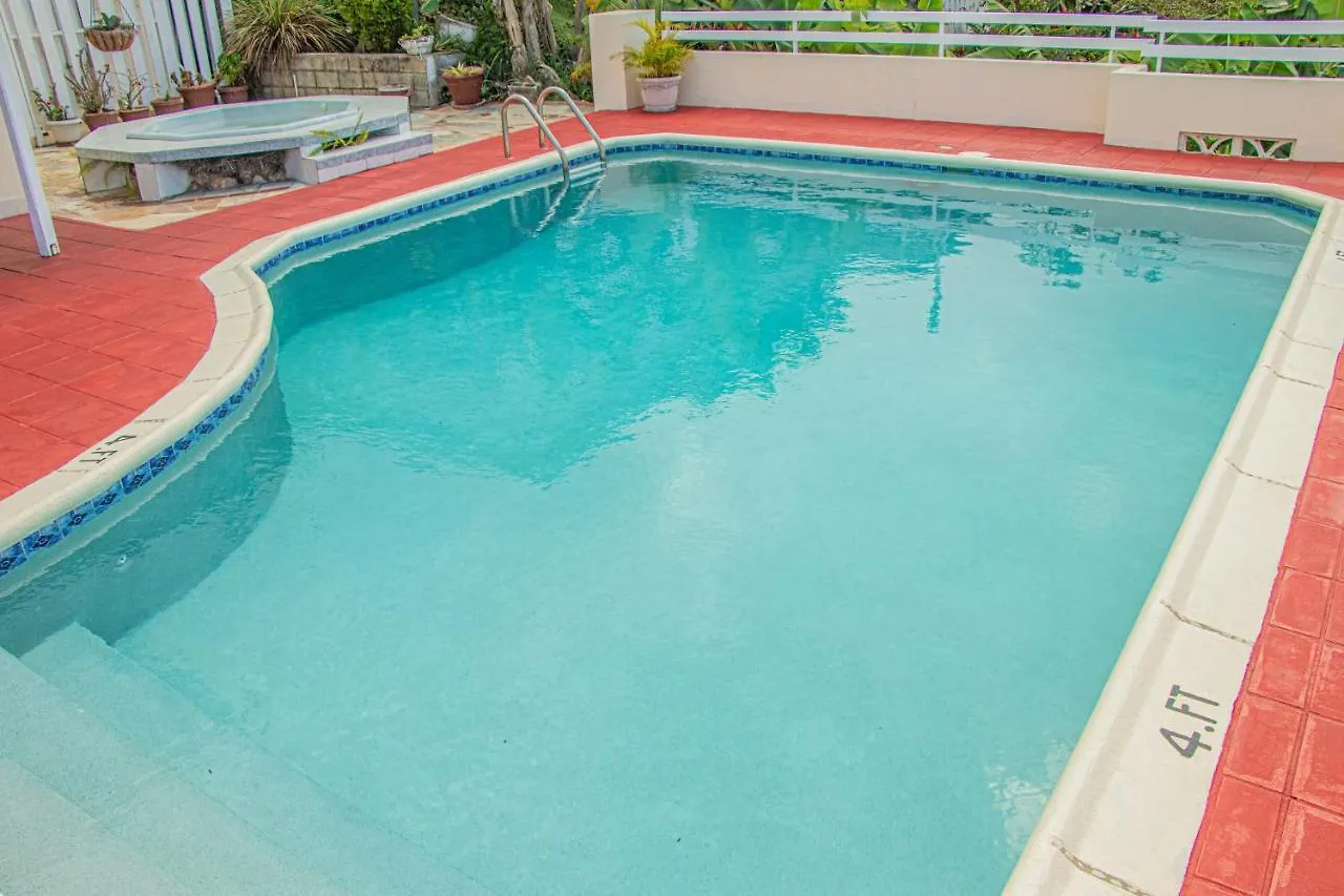 The Whytehouse Villa Montego Bay Konukevi