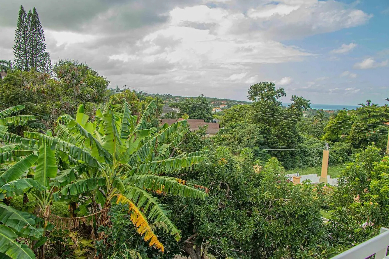 Konukevi The Whytehouse Villa Montego Bay