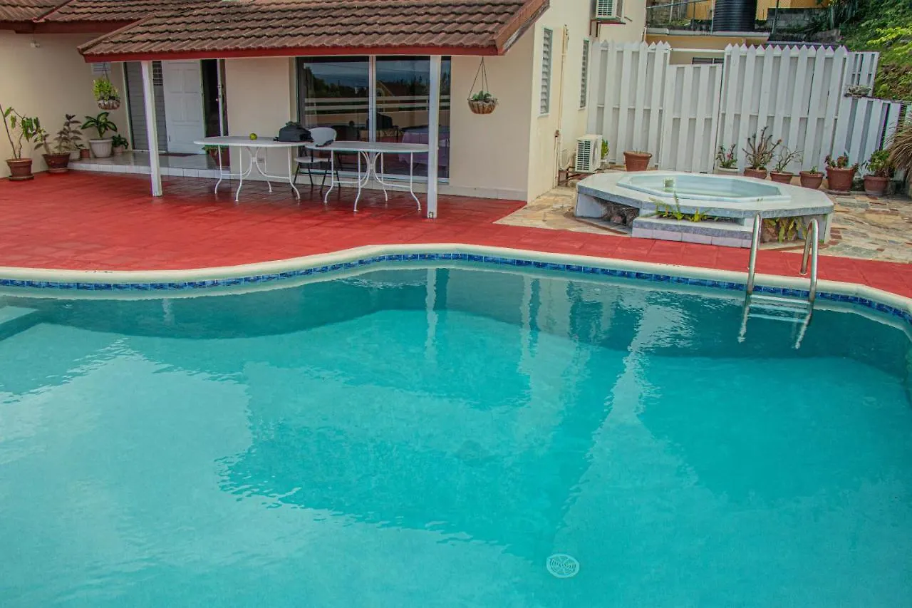 The Whytehouse Villa Montego Bay Konukevi